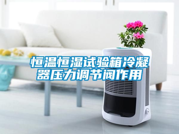 恒温恒湿试验箱冷凝器压力调节阀作用