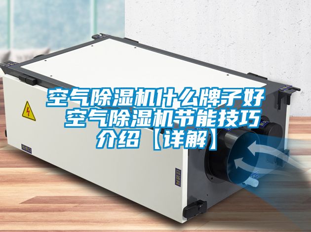 空气除湿机什么牌子好 空气除湿机节能技巧介绍【详解】