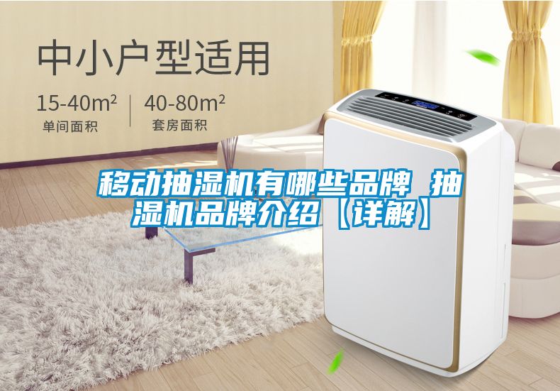 移动抽湿机有哪些品牌 抽湿机品牌介绍【详解】