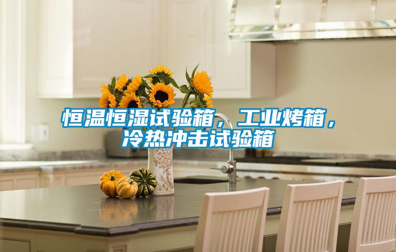 恒温恒湿试验箱，工业烤箱，冷热冲击试验箱