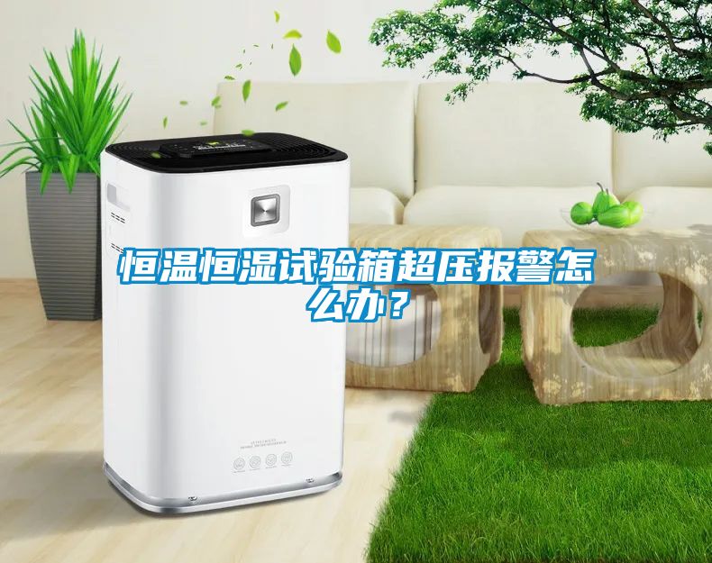 恒温恒湿试验箱超压报警怎么办？