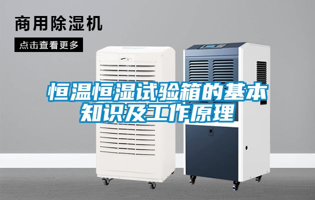 恒温恒湿试验箱的基本知识及工作原理