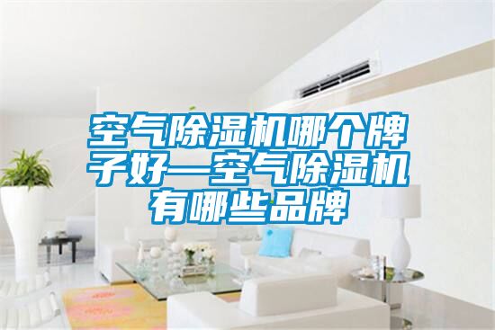空气除湿机哪个牌子好—空气除湿机有哪些品牌