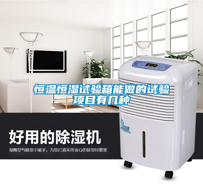 恒温恒湿试验箱能做的试验项目有几种