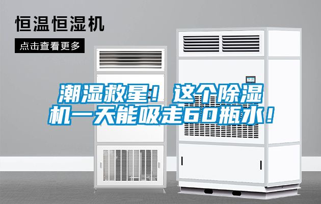 潮湿救星！这个除湿机一天能吸走60瓶水！
