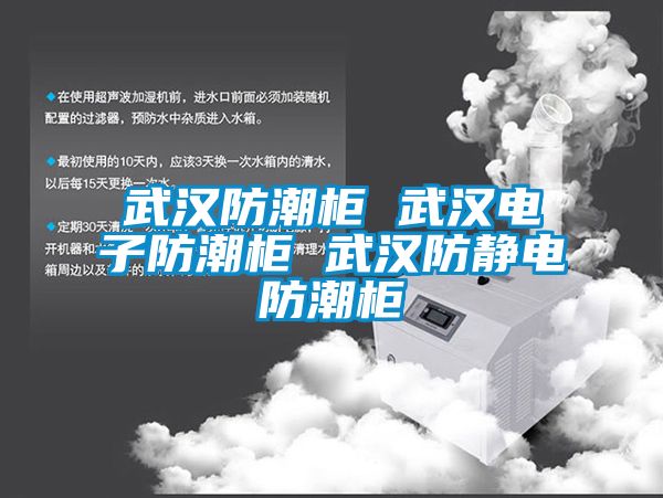 武汉防潮柜 武汉电子防潮柜 武汉防静电防潮柜