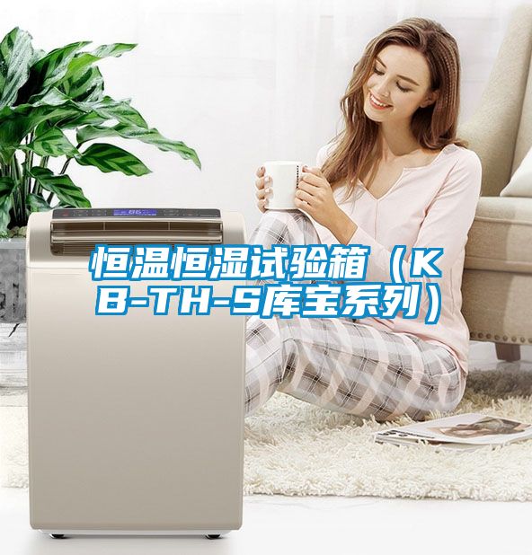 恒温恒湿试验箱（KB-TH-S库宝系列）