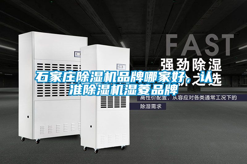 石家庄除湿机品牌哪家好，认准除湿机湿菱品牌