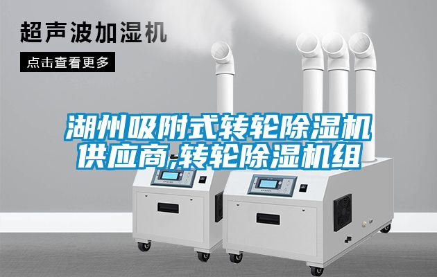 湖州吸附式转轮除湿机供应商,转轮除湿机组