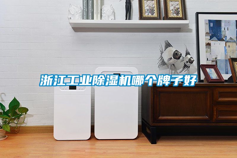 浙江工业除湿机哪个牌子好