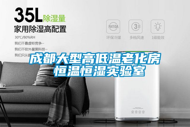 成都大型高低温老化房 恒温恒湿实验室