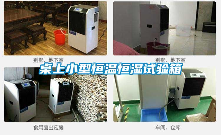 桌上小型恒温恒湿试验箱