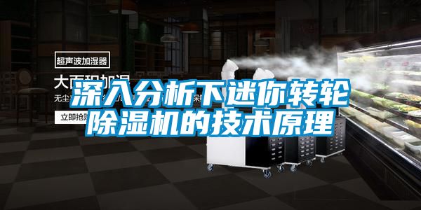 深入分析下迷你转轮除湿机的技术原理