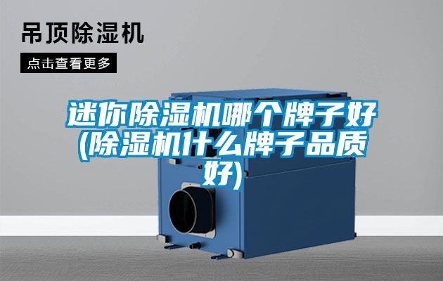 迷你除湿机哪个牌子好(除湿机什么牌子品质好)