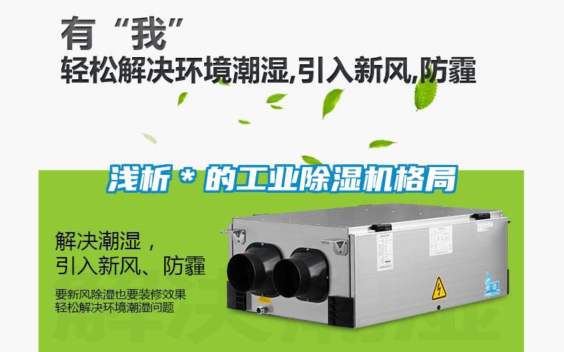 浅析＊的工业除湿机格局