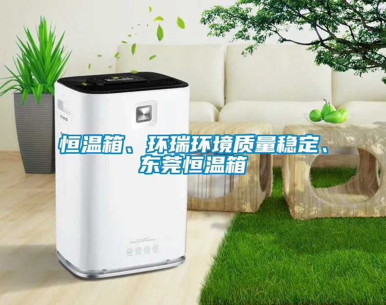 恒温箱、环瑞环境质量稳定、东莞恒温箱