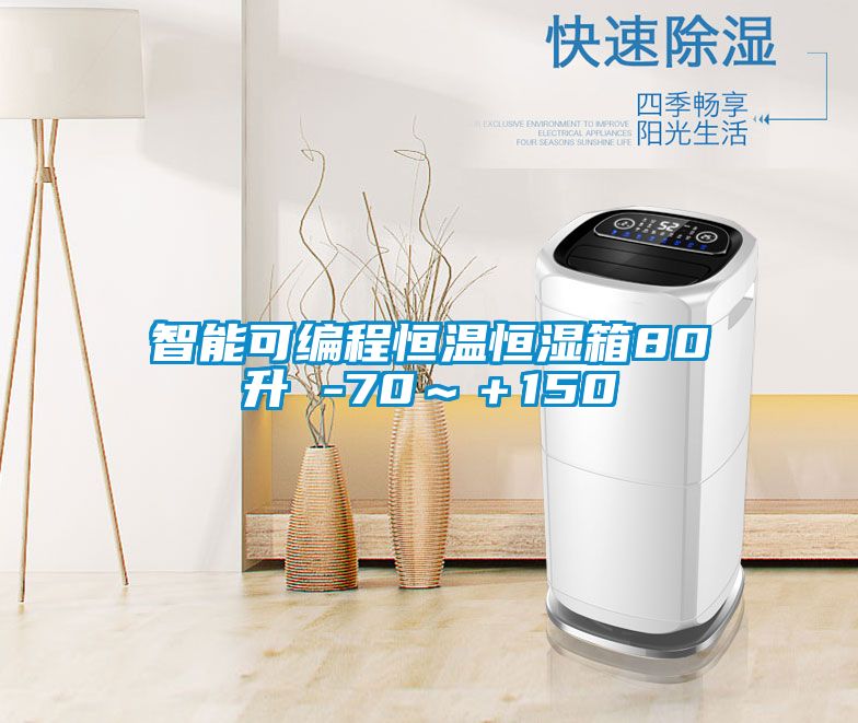 智能可编程恒温恒湿箱80升 -70～＋150℃