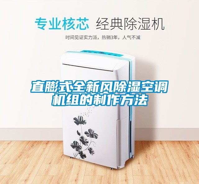 直膨式全新风除湿空调机组的制作方法