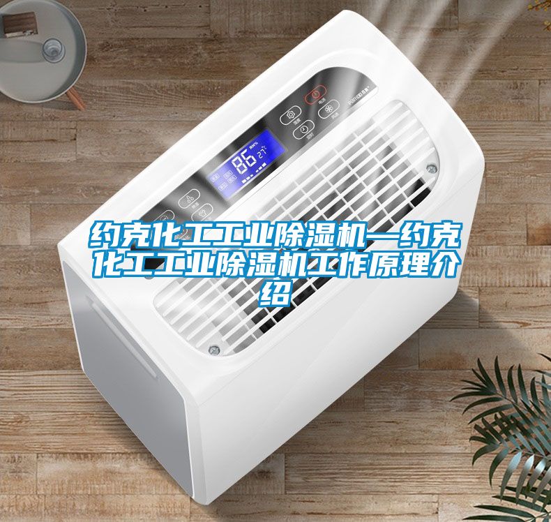 约克化工工业除湿机—约克化工工业除湿机工作原理介绍