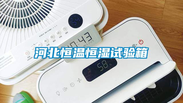 河北恒温恒湿试验箱