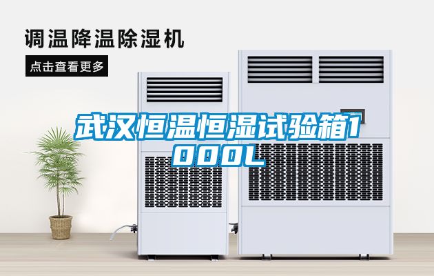 武汉恒温恒湿试验箱1000L
