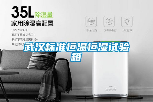 武汉标准恒温恒湿试验箱