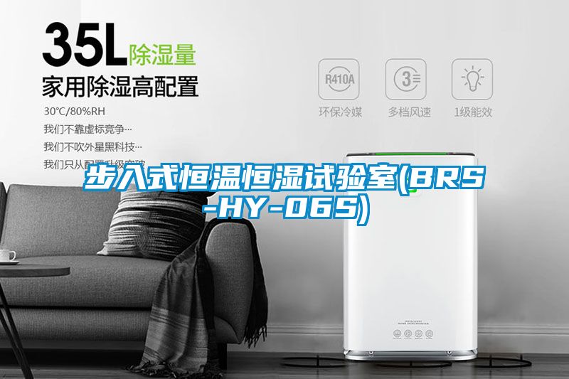 步入式恒温恒湿试验室(BRS-HY-06S)