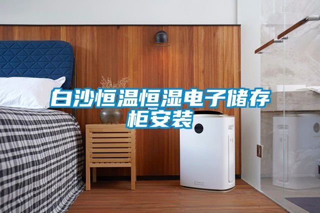 白沙恒温恒湿电子储存柜安装