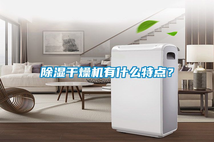 除湿干燥机有什么特点？