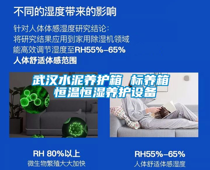武汉水泥养护箱 标养箱 恒温恒湿养护设备