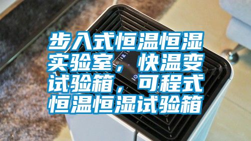 步入式恒温恒湿实验室，快温变试验箱，可程式恒温恒湿试验箱