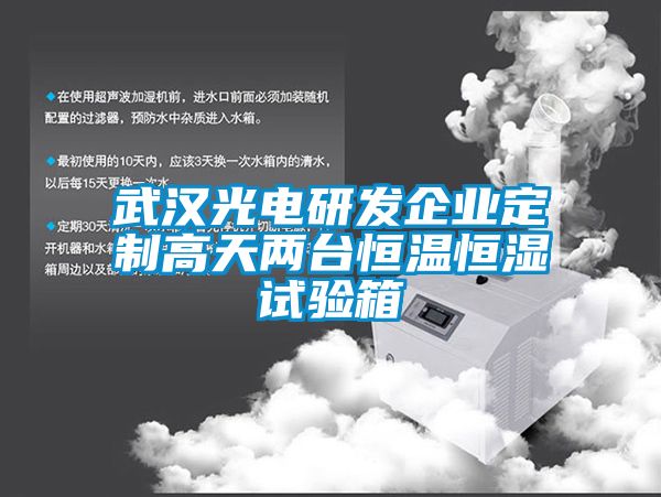 武汉光电研发企业定制高天两台恒温恒湿试验箱