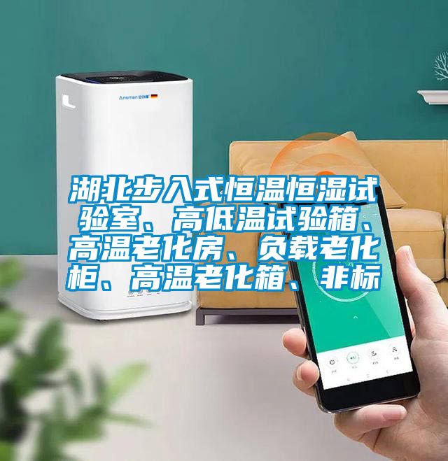 湖北步入式恒温恒湿试验室、高低温试验箱、高温老化房、负载老化柜、高温老化箱、非标