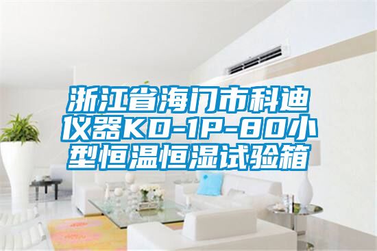 浙江省海门市科迪仪器KD-1P-80小型恒温恒湿试验箱