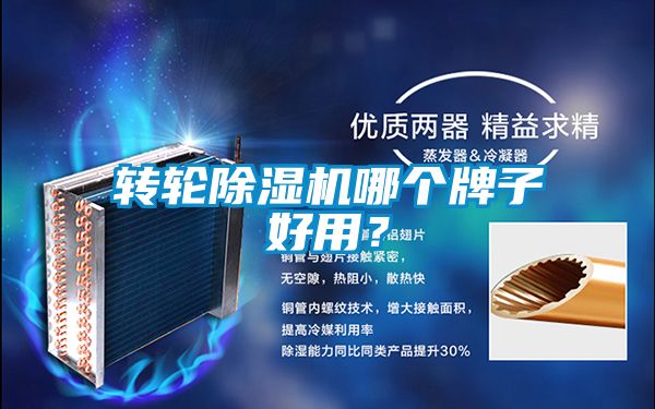 转轮除湿机哪个牌子好用？