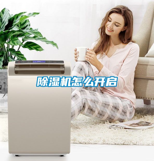 除湿机怎么开启