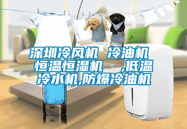深圳冷风机 冷油机 恒温恒湿机  ,低温冷水机,防爆冷油机