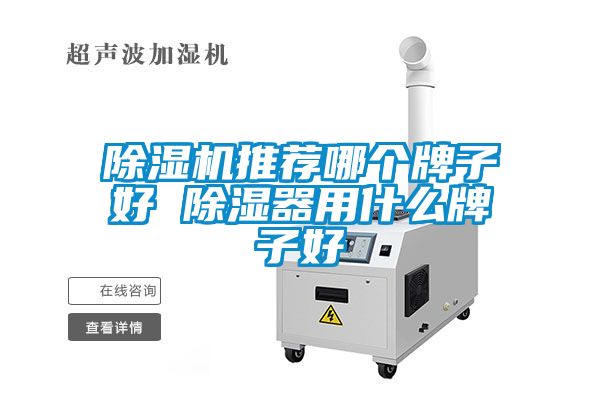 除湿机推荐哪个牌子好 除湿器用什么牌子好
