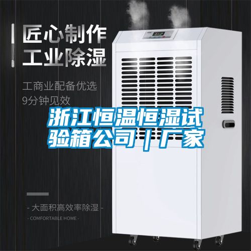 浙江恒温恒湿试验箱公司｜厂家