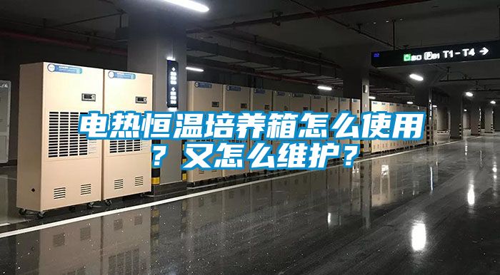 电热恒温培养箱怎么使用？又怎么维护？