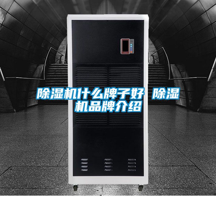 除湿机什么牌子好 除湿机品牌介绍