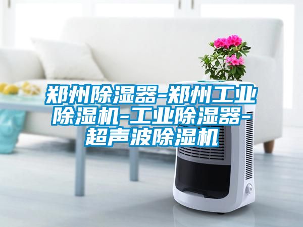 郑州除湿器-郑州工业除湿机-工业除湿器-超声波除湿机