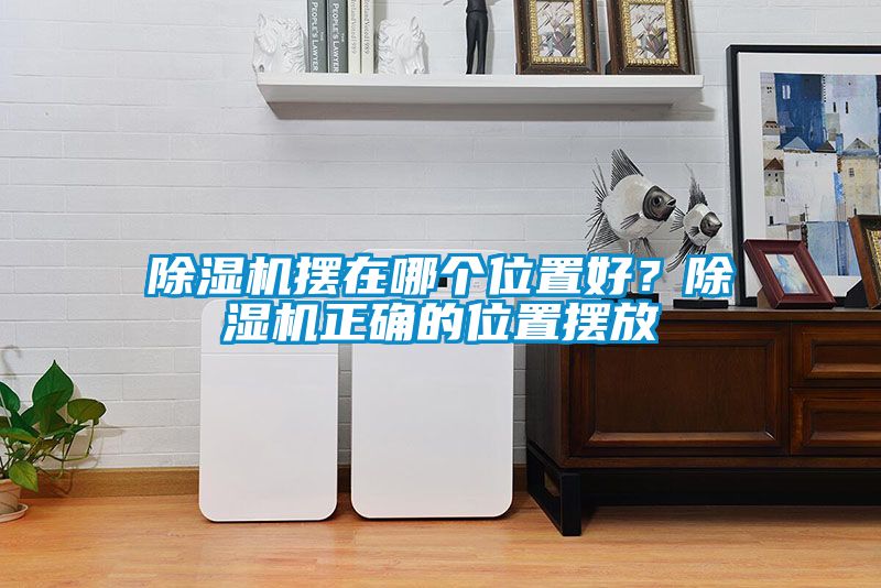 除湿机摆在哪个位置好？除湿机正确的位置摆放