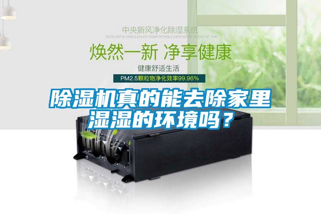 除湿机真的能去除家里湿湿的环境吗？