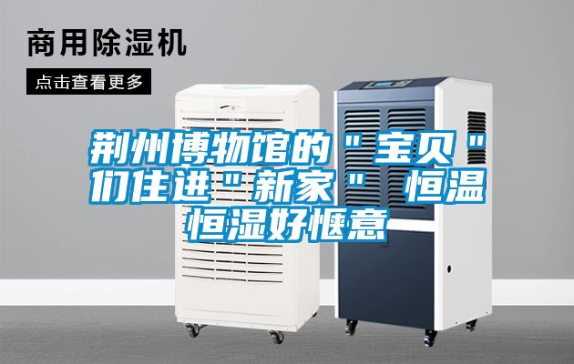 荆州博物馆的＂宝贝＂们住进＂新家＂ 恒温恒湿好惬意