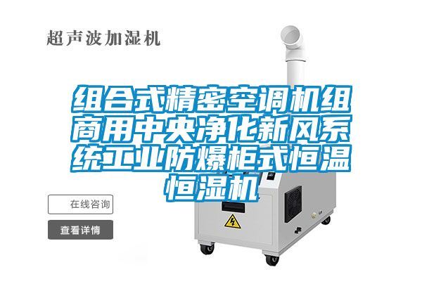 组合式精密空调机组商用中央净化新风系统工业防爆柜式恒温恒湿机
