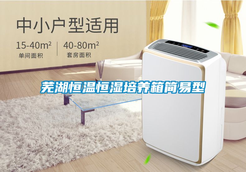 芜湖恒温恒湿培养箱简易型