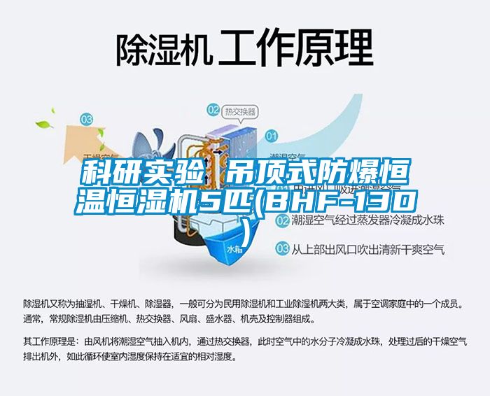 科研实验 吊顶式防爆恒温恒湿机5匹(BHF-13D)