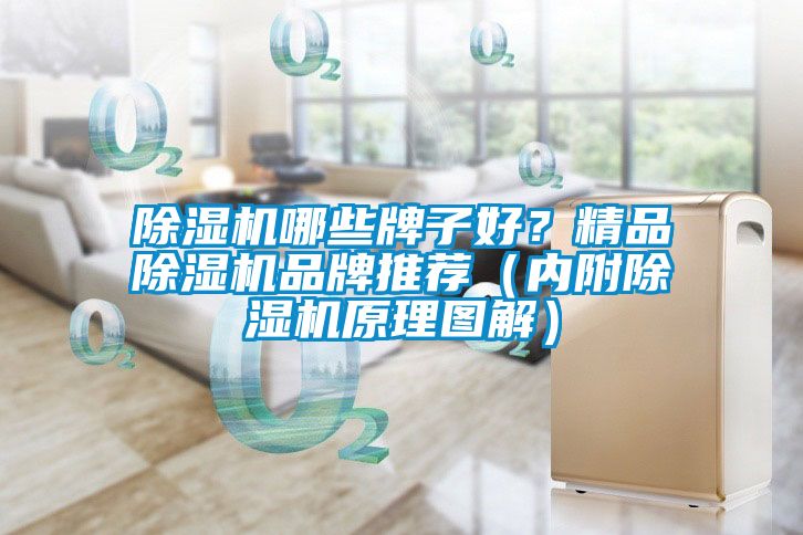 除湿机哪些牌子好？精品除湿机品牌推荐（内附除湿机原理图解）