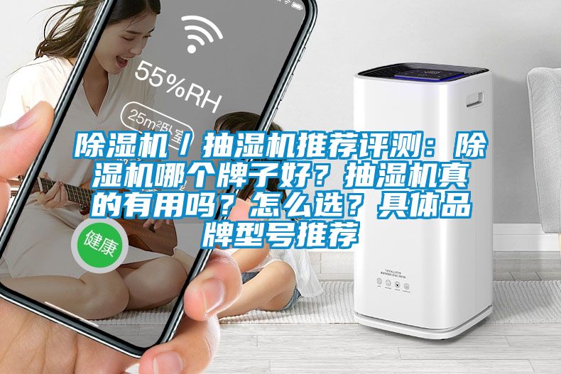 除湿机／抽湿机推荐评测：除湿机哪个牌子好？抽湿机真的有用吗？怎么选？具体品牌型号推荐
